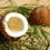 Coconut Extract: The Secret Ingredient Revolutionizing Health and Wellness in 2024